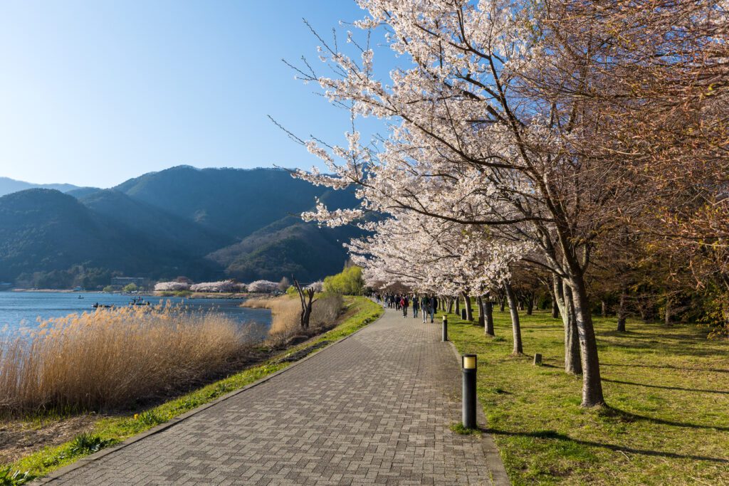 Kawaguchiko walkway