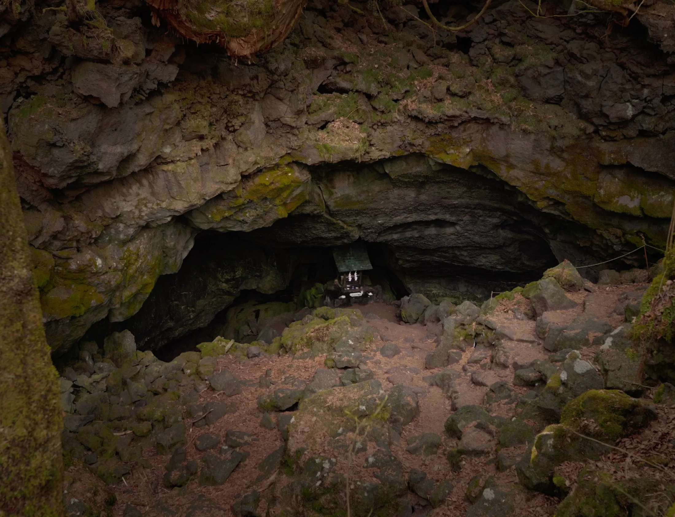 Dragon cave
