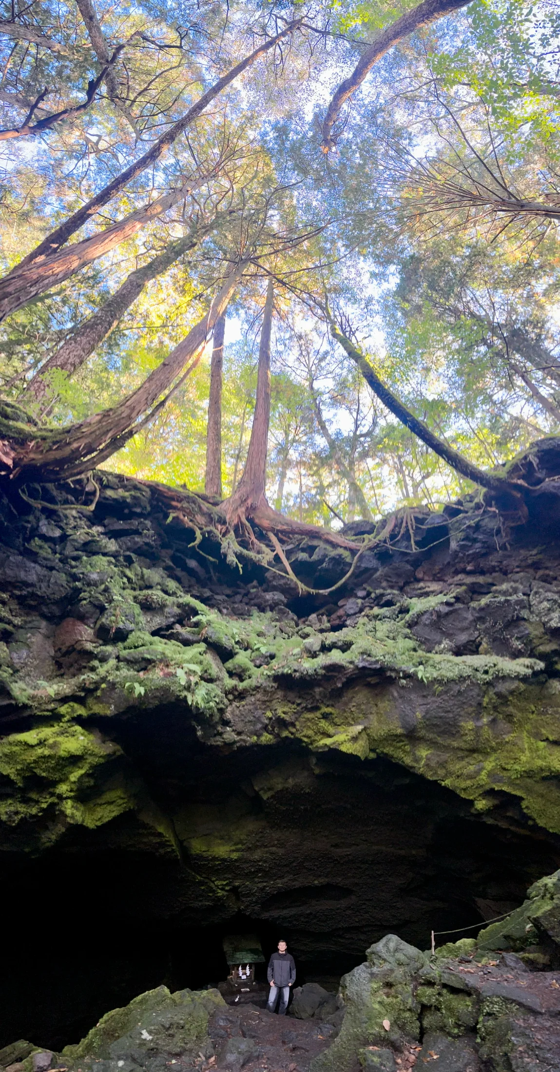 Dragon cave entrance in Jukai forest