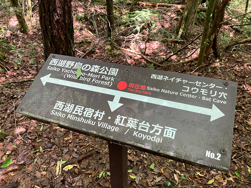 Junction sign in Jukai Forest